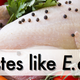 Image for article titled Levels of antibiotic-resistant bacteria on meat are on the rise